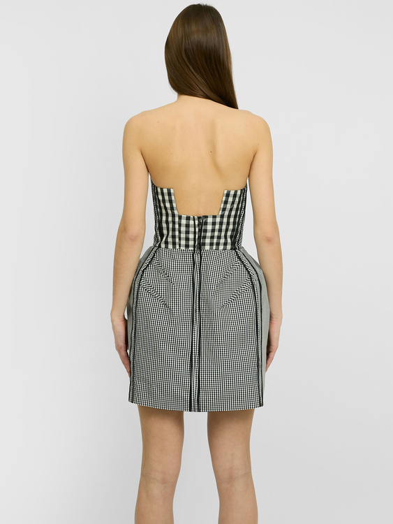 Acne Corset Mini Dress 