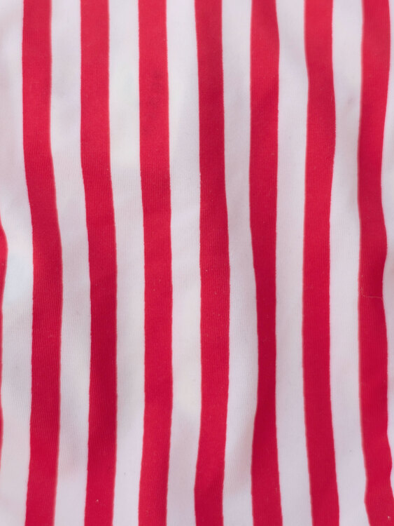 Dolce & Gabbana Bikini Set 