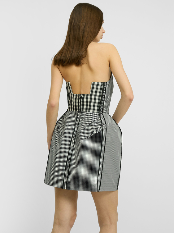 Acne Corset Mini Dress 