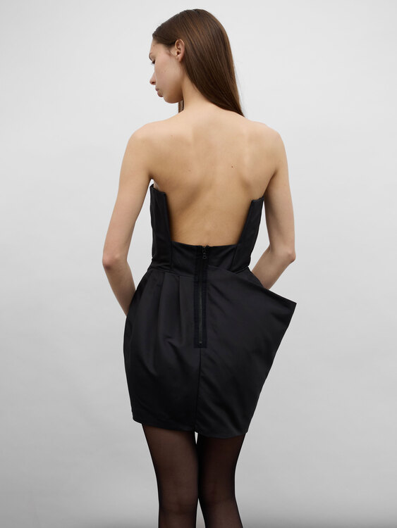 Acne Corset Dress 