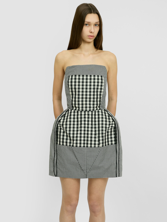 Acne Corset Mini Dress 